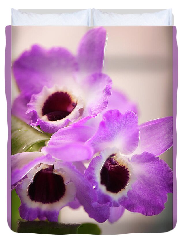Rockville Duvet Cover featuring the photograph Debdrobium Nobile Flowers by Maria Mosolova