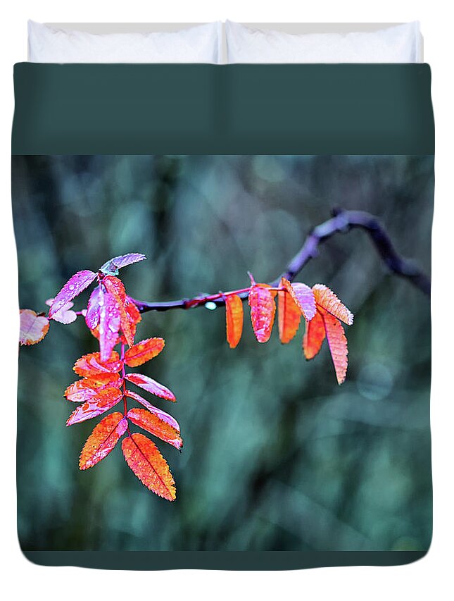 Cold Duvet Cover featuring the photograph December morning by Stelios Kleanthous