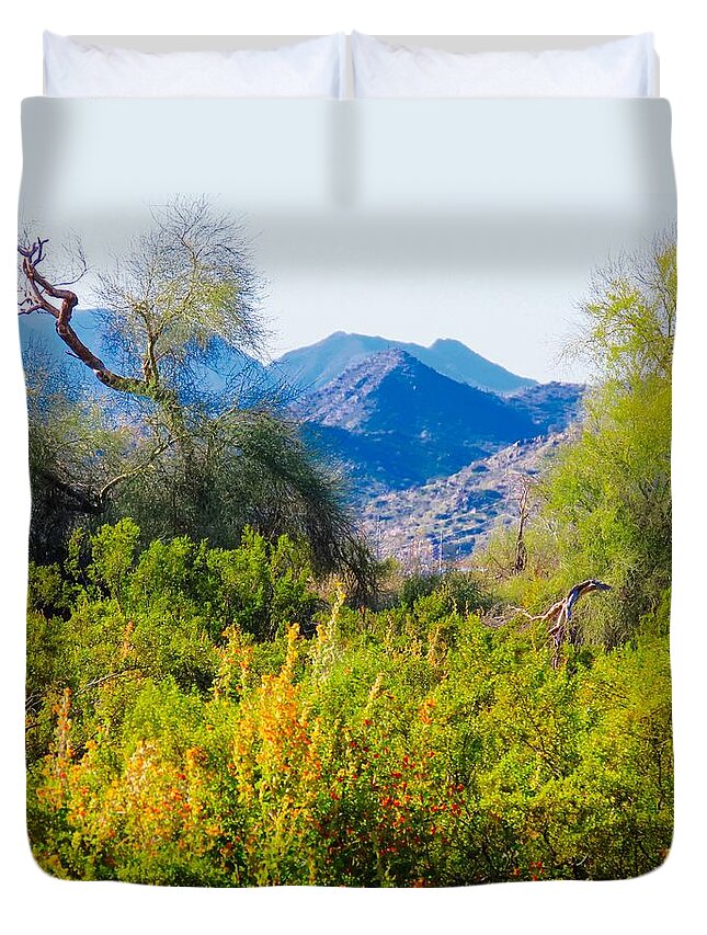 Arizona Duvet Cover featuring the photograph Deep Desert Valley in a Sonoran Desert Spring by Judy Kennedy