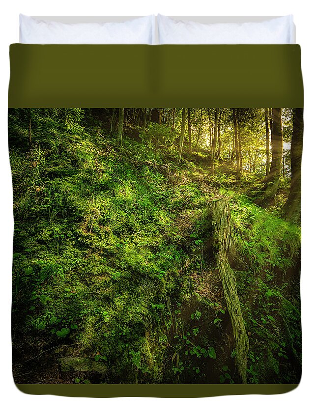 Nature Duvet Cover featuring the photograph Deep in the Forests of Bavaria by David Morefield