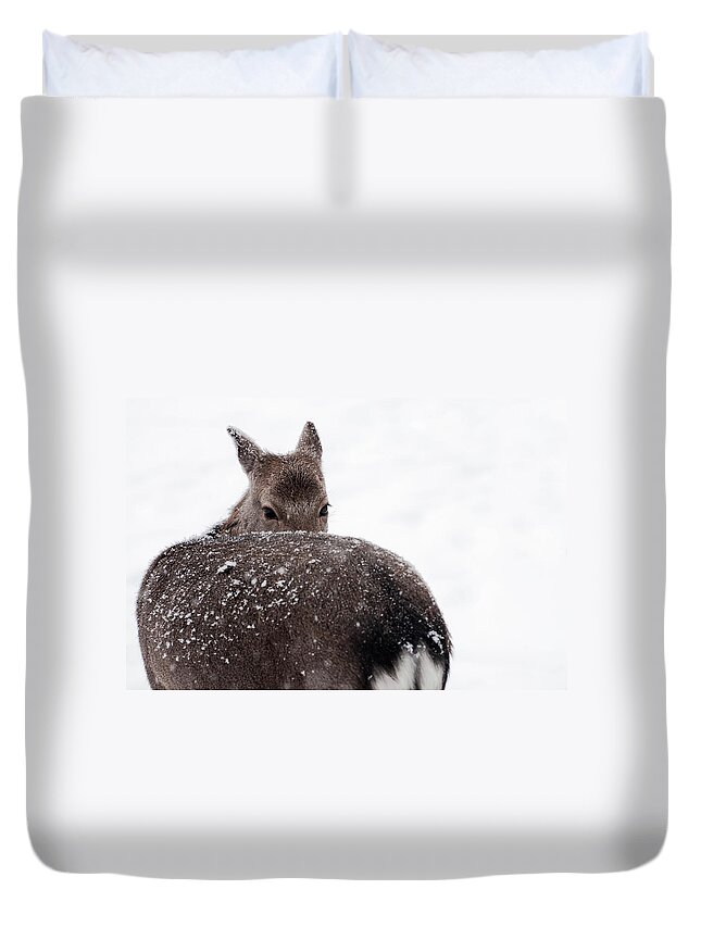 Looking Over Shoulder Duvet Cover featuring the photograph Deer by Photography By Daniel Hans Peter Christensen