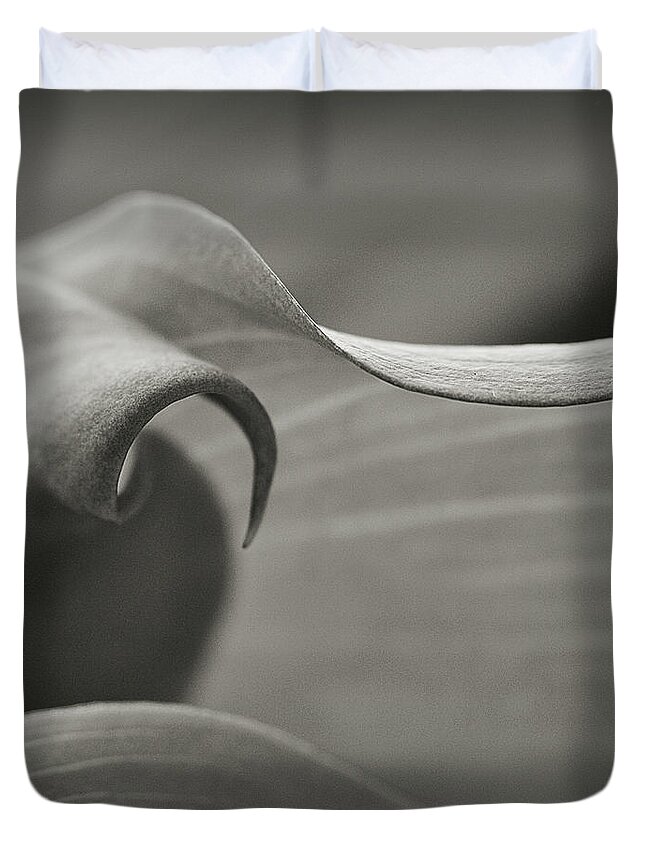 Calla Lily Duvet Cover featuring the photograph Delve Deeper by Michelle Wermuth