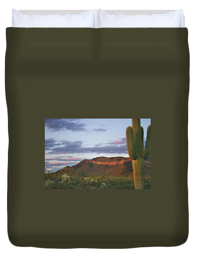 Saguaro Cactus Duvet Cover featuring the photograph Desert At Dusk by Vlynder