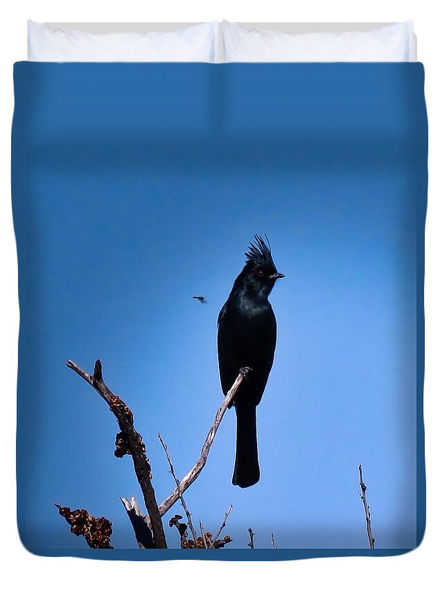 Arizona Duvet Cover featuring the photograph Desert Phainopepla and Dragonfly by Judy Kennedy