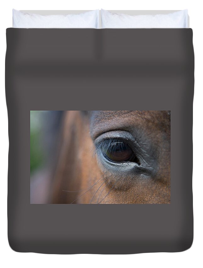 Horse Duvet Cover featuring the photograph Detail Of Horses Face, Near Lough by Holger Leue