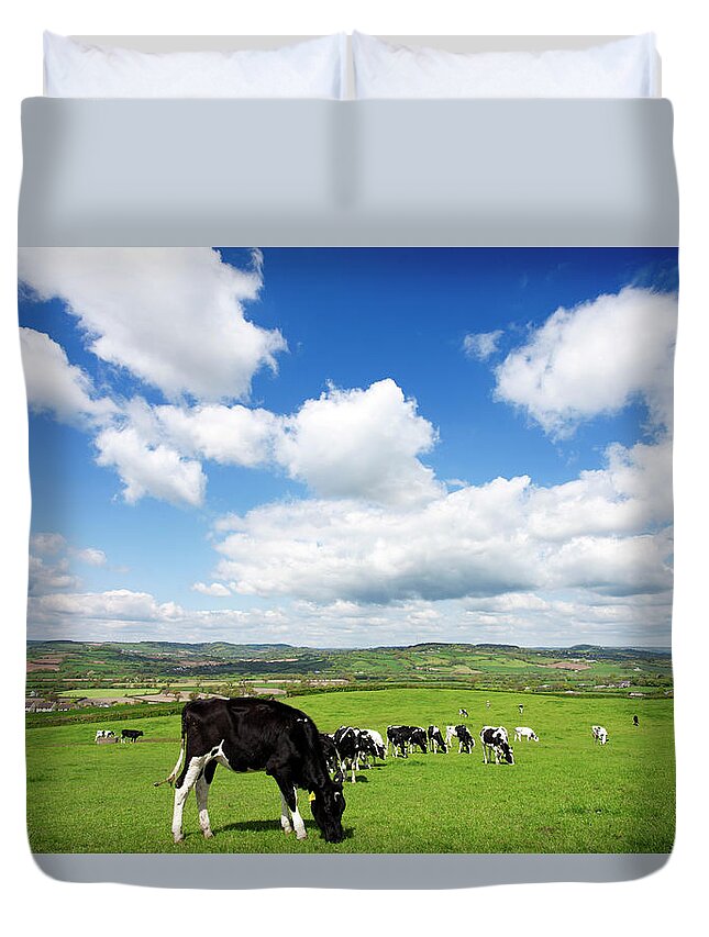Grass Duvet Cover featuring the photograph Devon Hillside With Cows by Urbancow