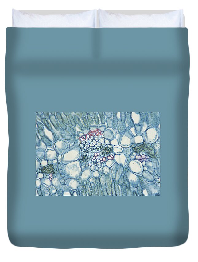Close-up Duvet Cover featuring the photograph Dianthus Leaf Or Carnation Magnified by Comstock Images