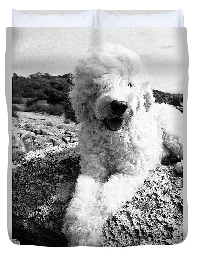 Wind Duvet Cover featuring the photograph Dog Sitting On Rocks, Portrait by Henry Horenstein