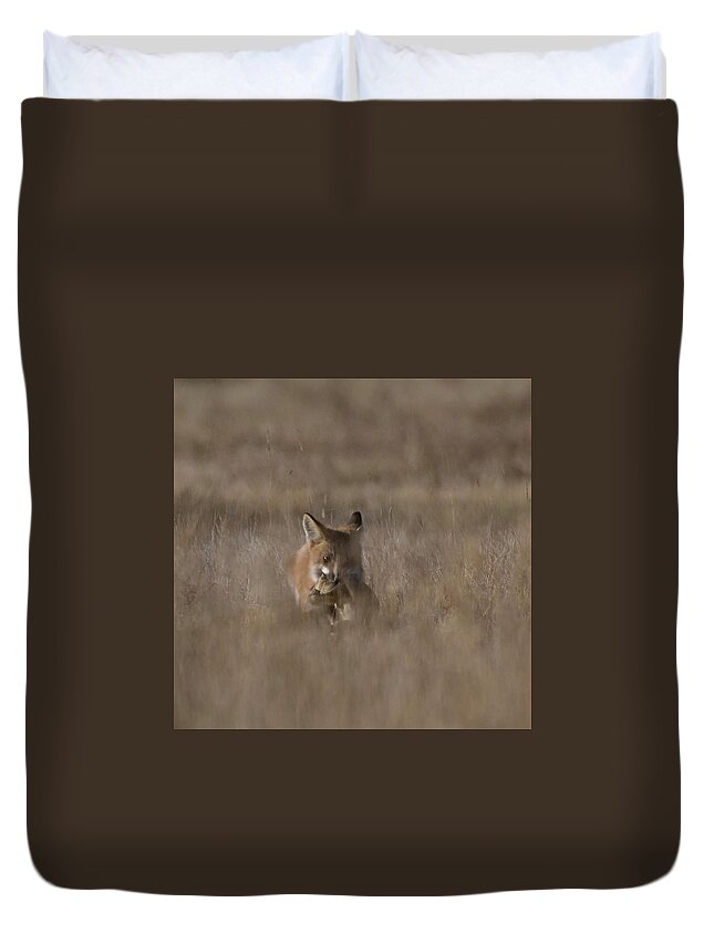 Fox Duvet Cover featuring the photograph Doggone it by Patrick Nowotny