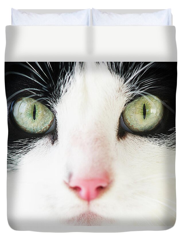 Pets Duvet Cover featuring the photograph Domestic Cat Portrait by Tetra Images