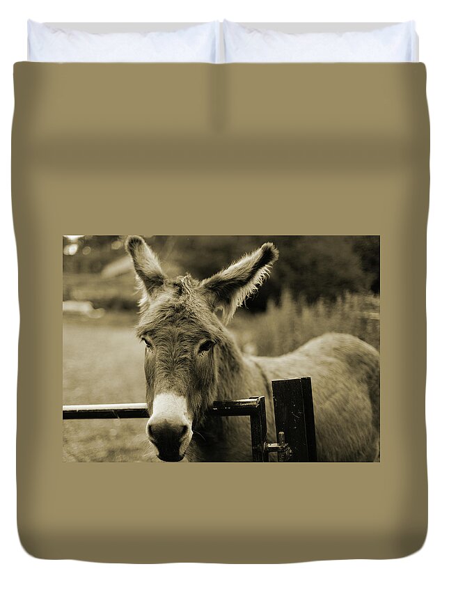 Working Animal Duvet Cover featuring the photograph Donkey by Dyker the horse 1976