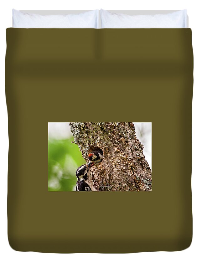 Downy Woodpecker (picoides Pubescens) Duvet Cover featuring the photograph Downy Lunch by Jeff Phillippi