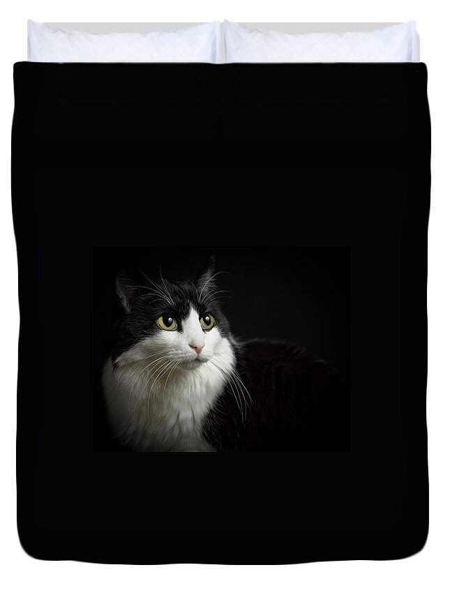 Pets Duvet Cover featuring the photograph Dramatic Portrait Of Loyal Cat by Www.reinhartstudios.com