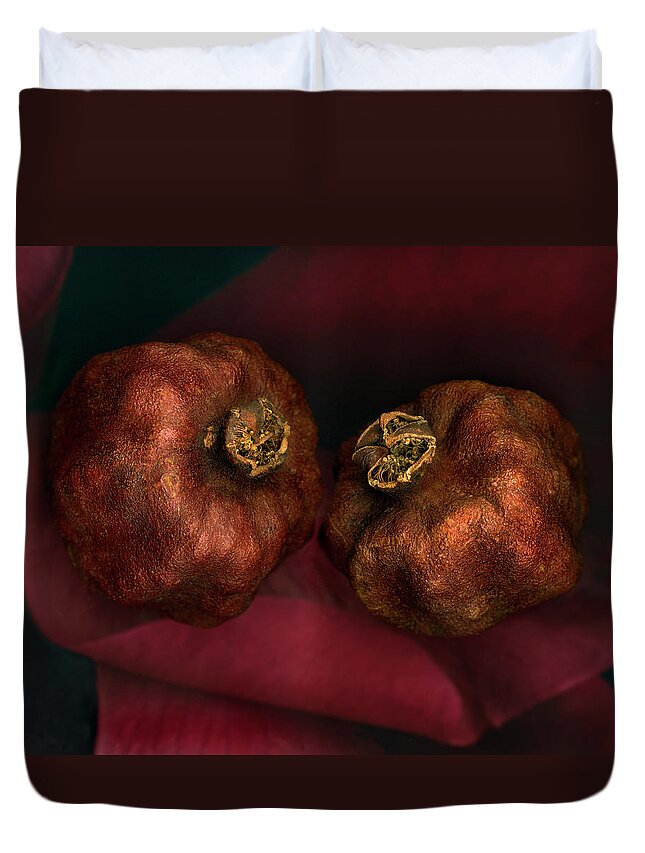 Aging Process Duvet Cover featuring the photograph Dried Pomegranates, Close-up by John Grant
