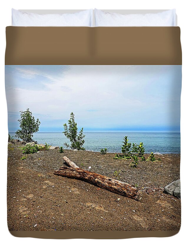 Driftwood On Hamlin Beach Hamlon Ny Lake Ontario Duvet Cover For
