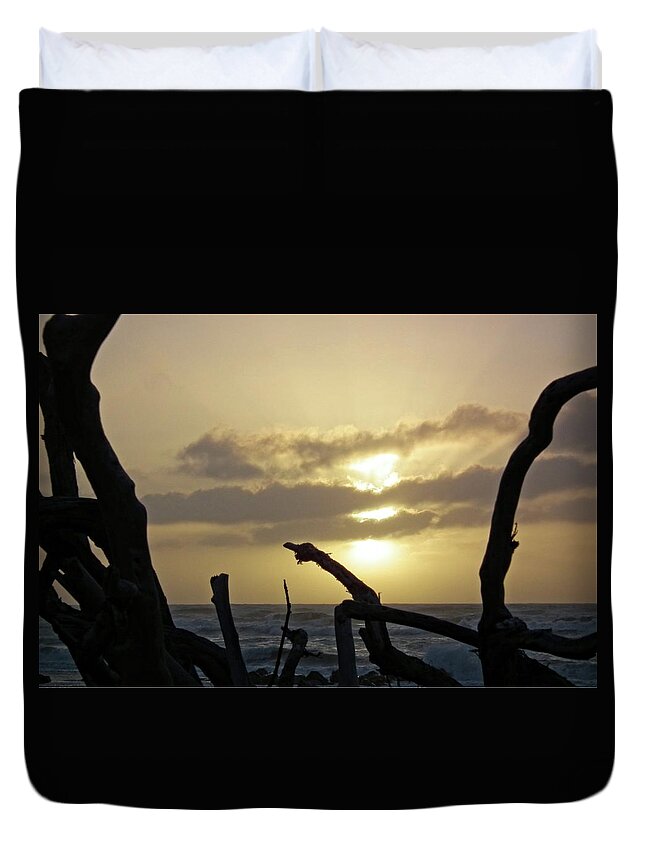 Sky Duvet Cover featuring the photograph Driftwood sunset by Martin Smith