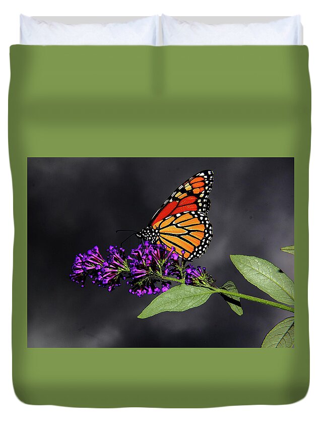  Butterfly Duvet Cover featuring the photograph Drink Deeply of This Moment by Allen Nice-Webb