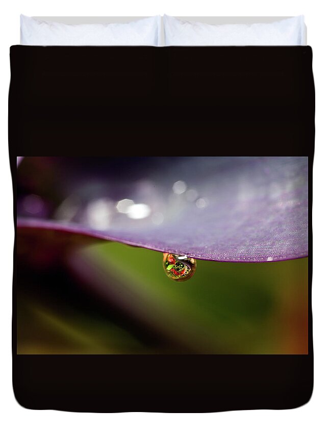Outdoors Duvet Cover featuring the photograph Drop Of Water by Pablo Reinsch Photography