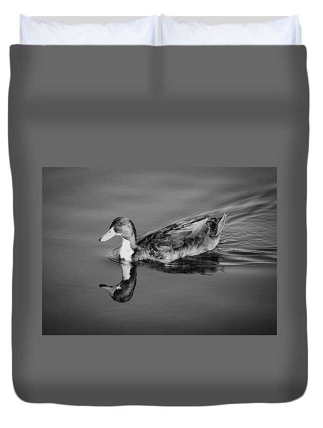 Duck Duvet Cover featuring the photograph Duck in Black and White by Alison Frank
