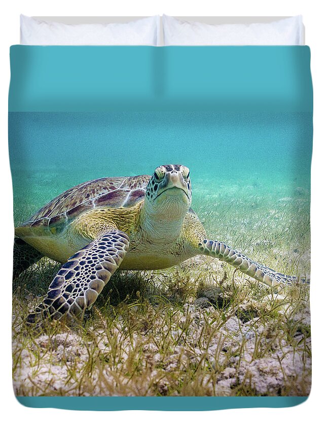Turtle Duvet Cover featuring the photograph Dude by Lynne Browne