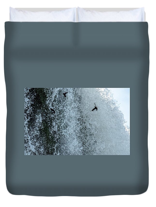 Cypseloides Senex Duvet Cover featuring the photograph Dusky Swifts Diving Through the Falls by Mark Hunter