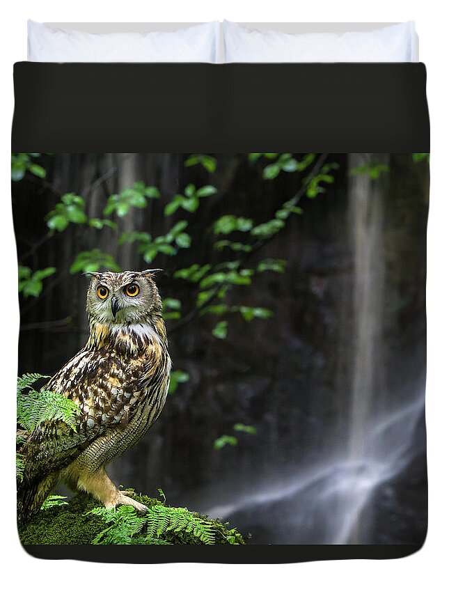 Animal Themes Duvet Cover featuring the photograph Eagle Owl By Waterfall by Images From Barbanna