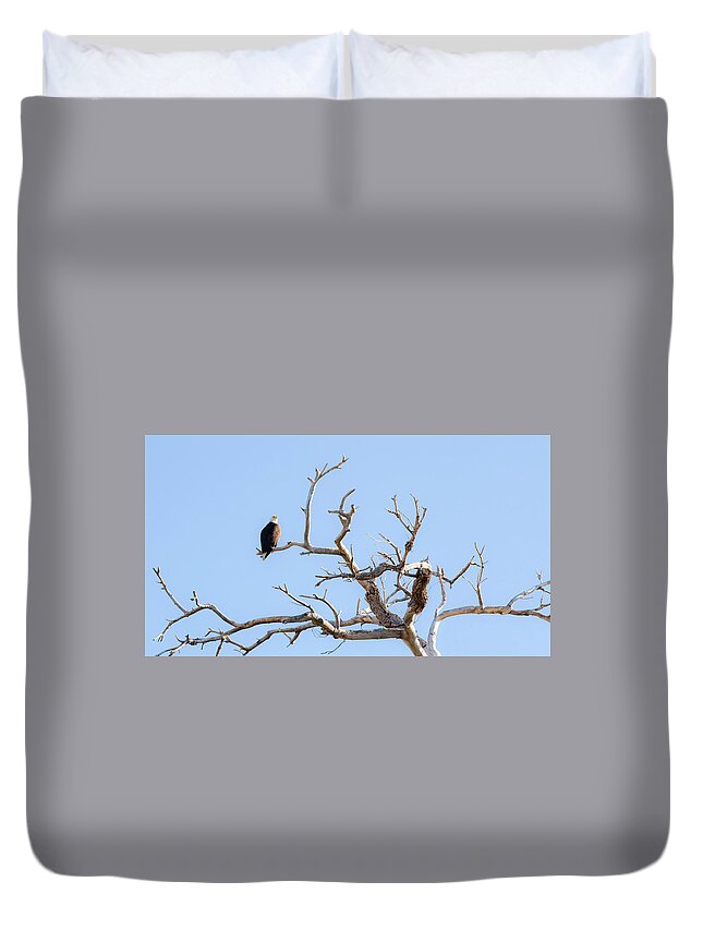  Duvet Cover featuring the photograph Eagles in Nest Arizona by Catherine Walters