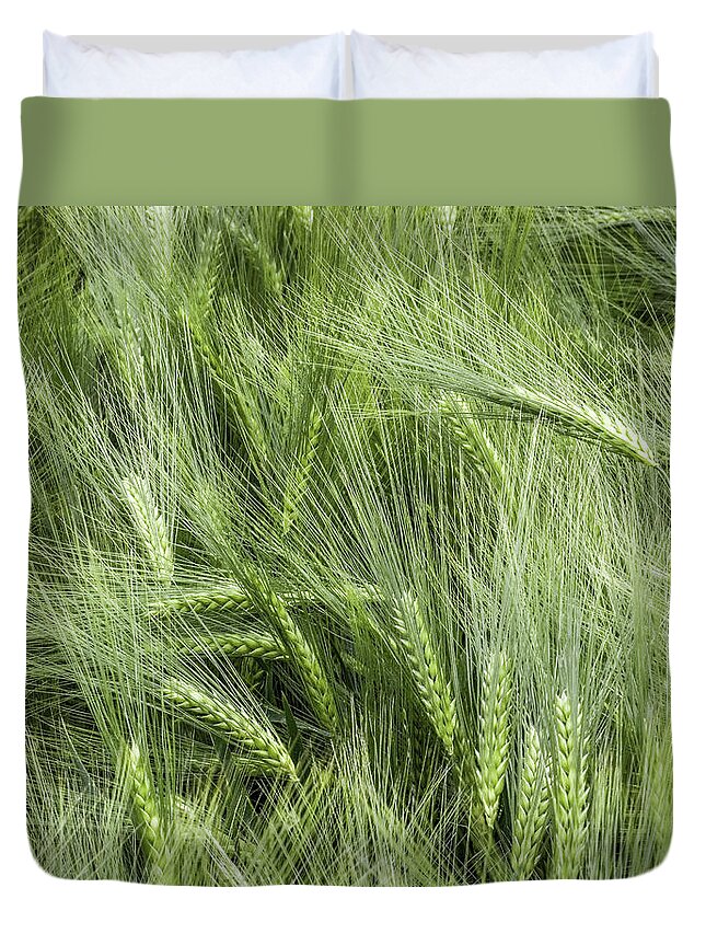 Outdoors Duvet Cover featuring the photograph Early Ears Of Emmer Wheat by Eric Larrayadieu
