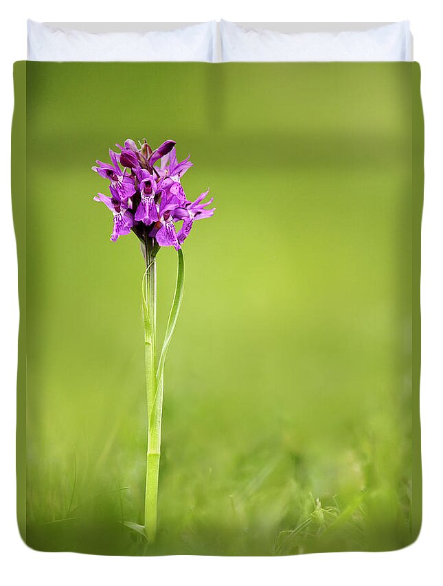 England Duvet Cover featuring the photograph Early Marsh Orchid And Souther Marsh by David Clapp