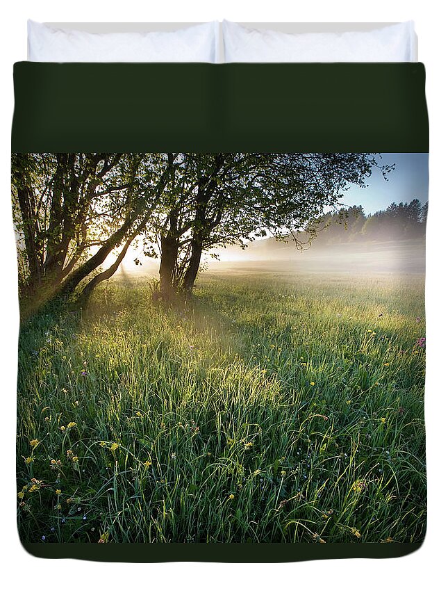 Scenics Duvet Cover featuring the photograph Early Morning by Ingmar Wesemann