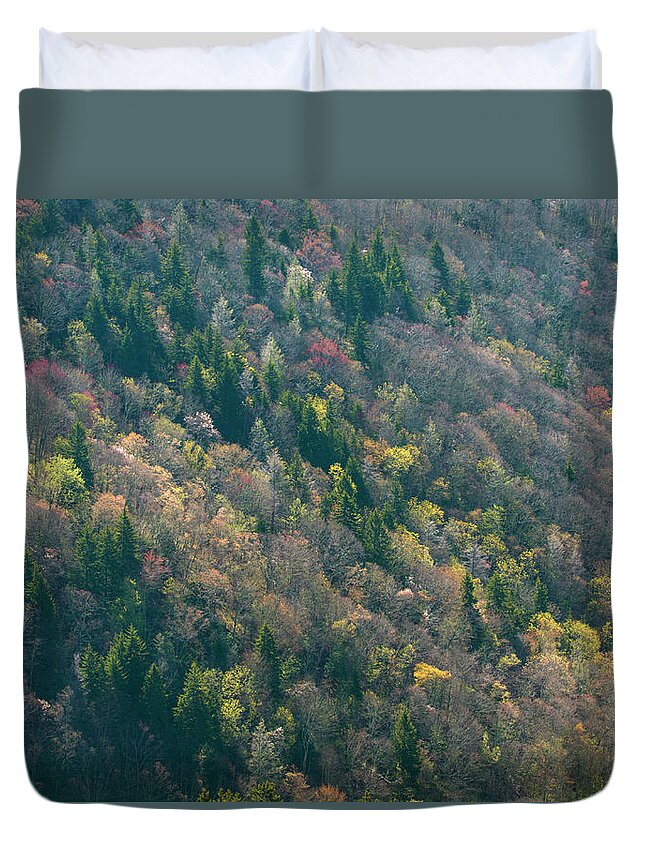 Scenics Duvet Cover featuring the photograph Early Spring, North Carolina by Jerry Whaley