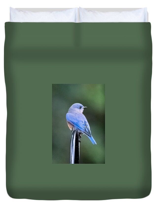 Eastern Bluebird Duvet Cover featuring the photograph Eastern Bluebird Portrait - Vertical by Mary Ann Artz