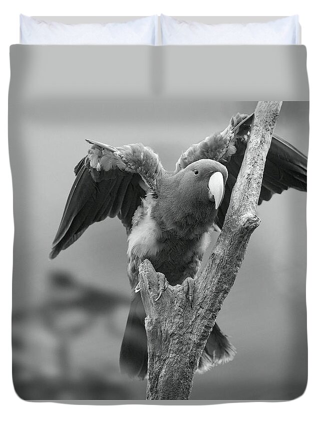 Disk1215 Duvet Cover featuring the photograph Eclectus Parrot Singapore by Tim Fitzharris
