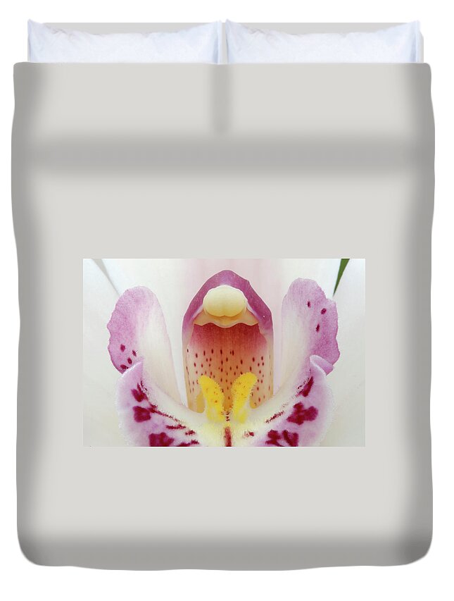 Season Duvet Cover featuring the photograph Elegant Orchid by Aimintang
