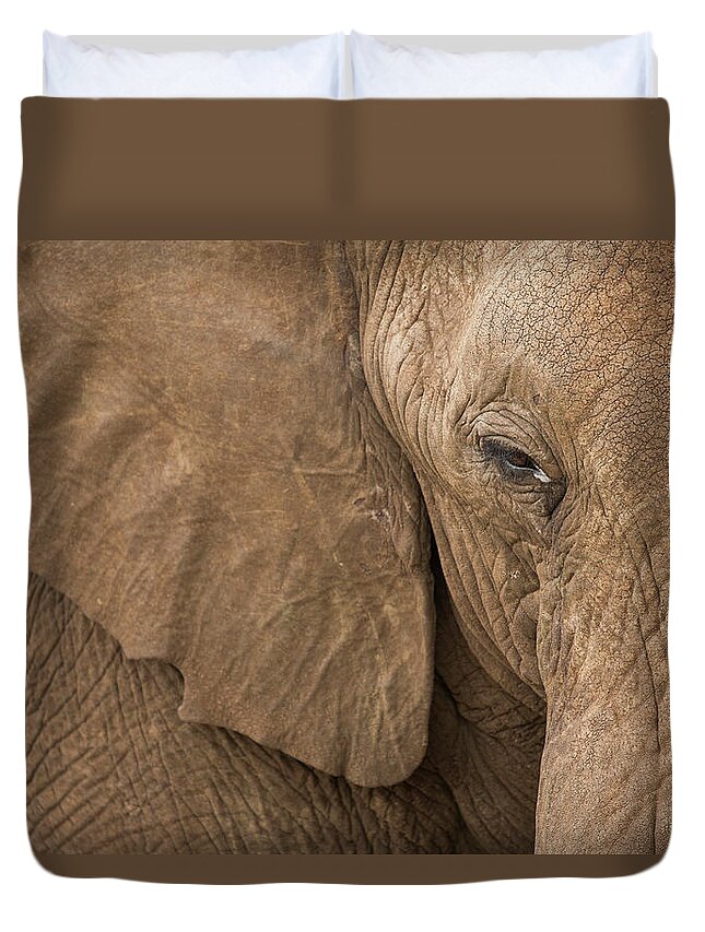 Sebastian Kennerknecht Duvet Cover featuring the photograph Elephant Bull Close-up by Sebastian Kennerknecht