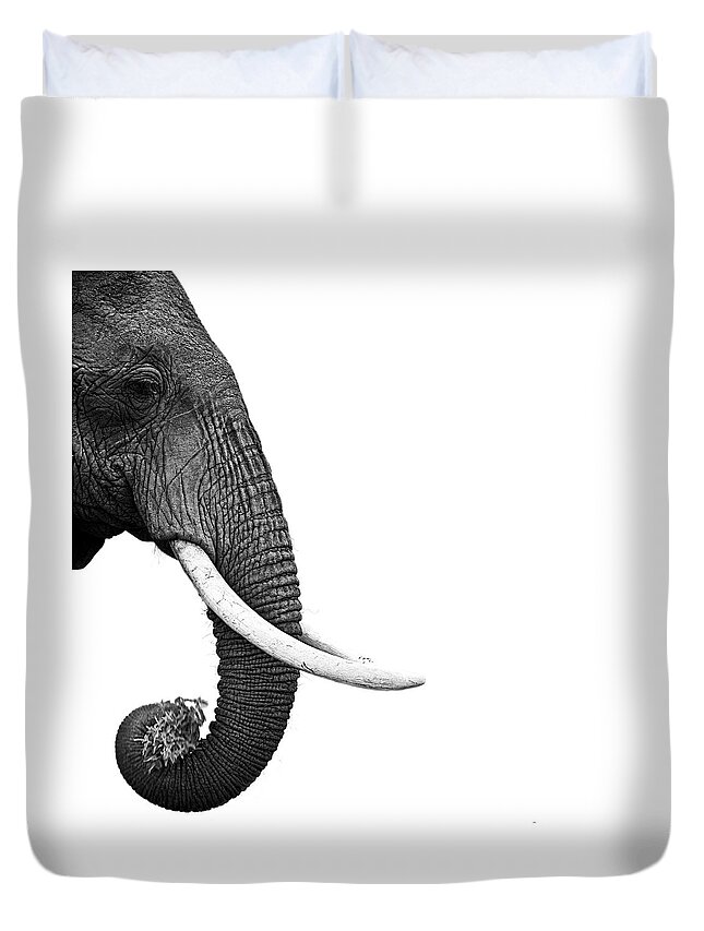 Toughness Duvet Cover featuring the photograph Elephant by Daniel Pupius