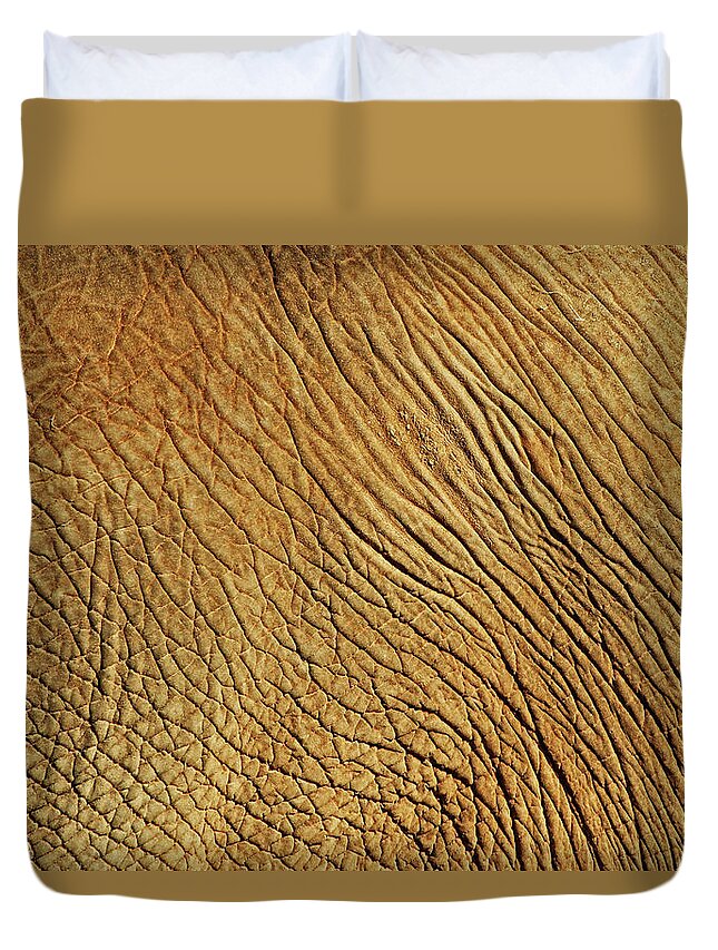 Animal Skin Duvet Cover featuring the photograph Elephant Skin by Daniela Duncan
