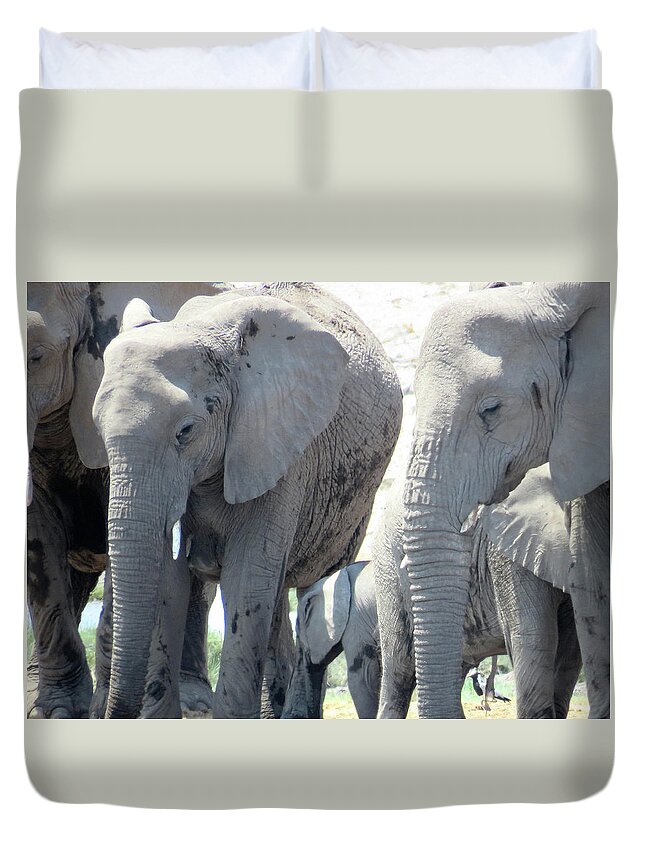  Duvet Cover featuring the photograph Elephants by Eric Pengelly