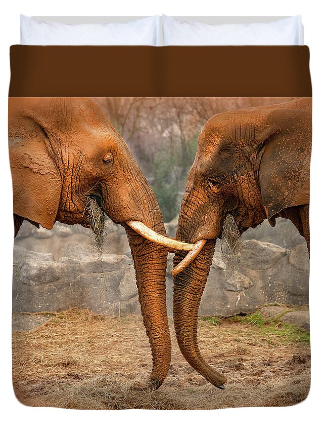 Elephants Duvet Cover featuring the photograph Elephants by Gouzel -