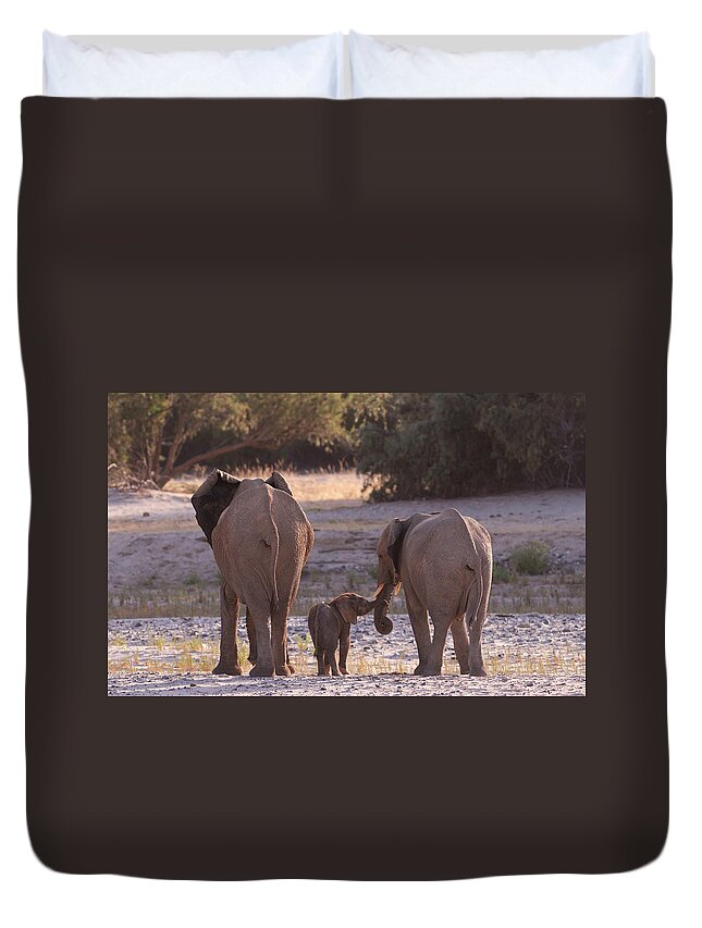 Estock Duvet Cover featuring the digital art Elephants, Kunene Region, Namibia by Heeb Photos
