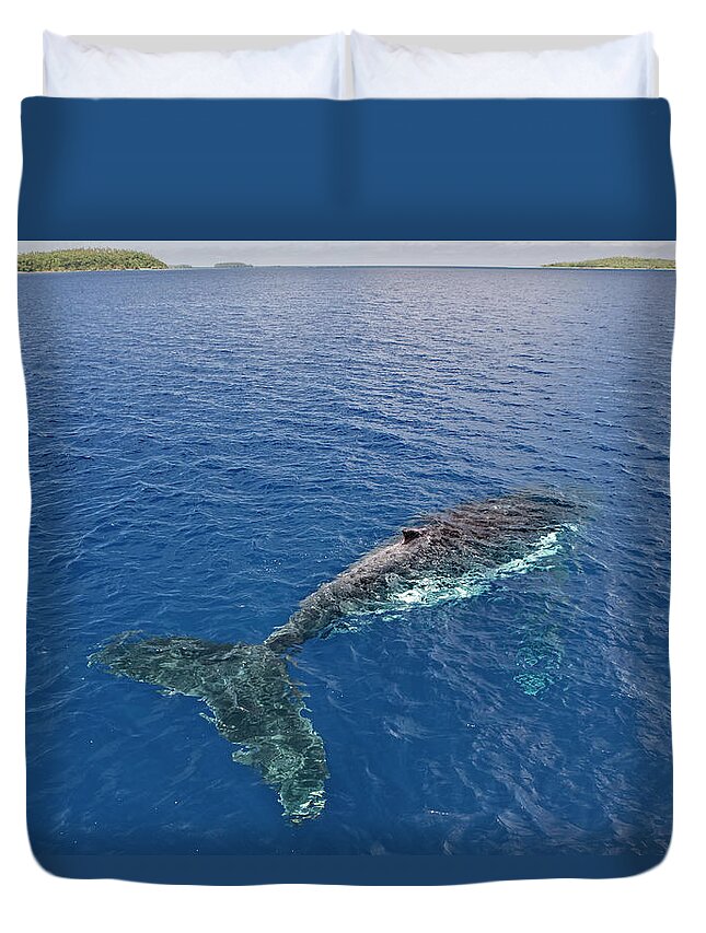 Scenics Duvet Cover featuring the photograph Elevated View Of Humpback Whale In Sea by John W Banagan