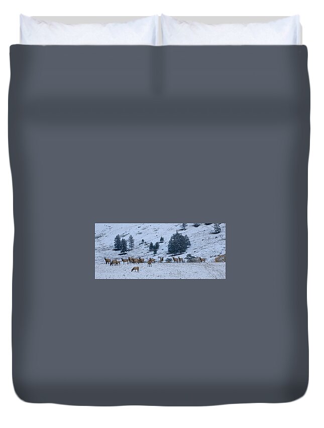 Yellowstone Duvet Cover featuring the photograph Elk Herd First Snow by Ed Broberg