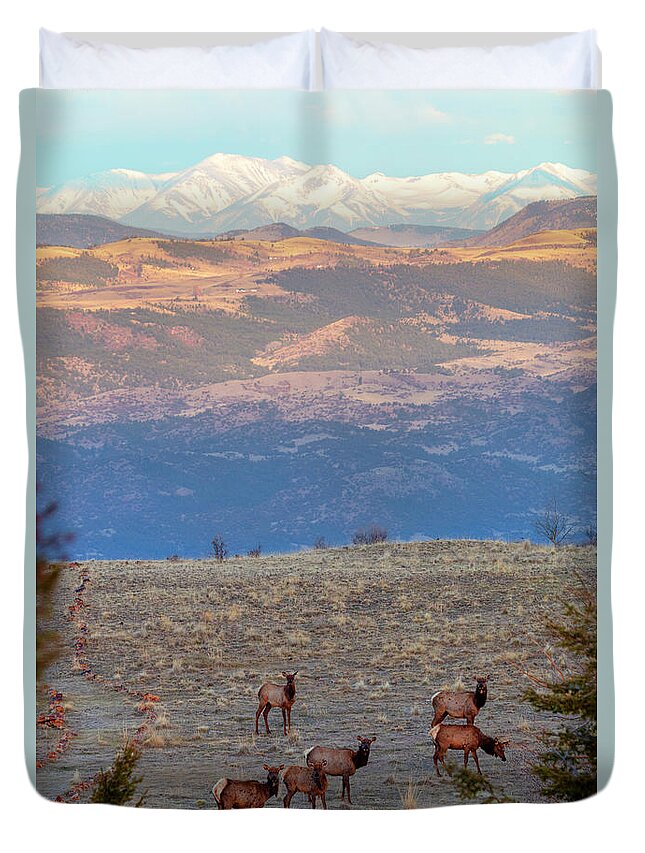 Elk Duvet Cover featuring the photograph Elk Herd by Steven Krull