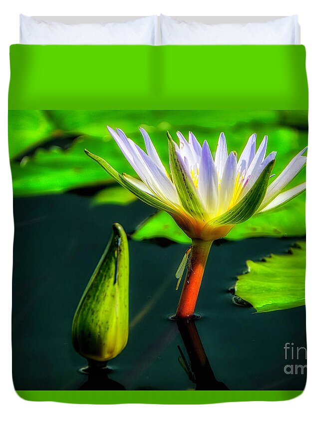 Aquatic Plant Duvet Cover featuring the photograph Emergent by Bill Frische