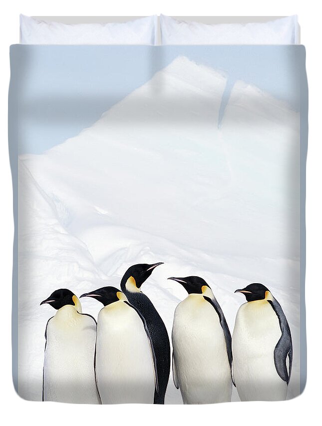Emperor Penguin Duvet Cover featuring the photograph Emperor Penguins And Icebergs, Weddell by Joseph Van Os