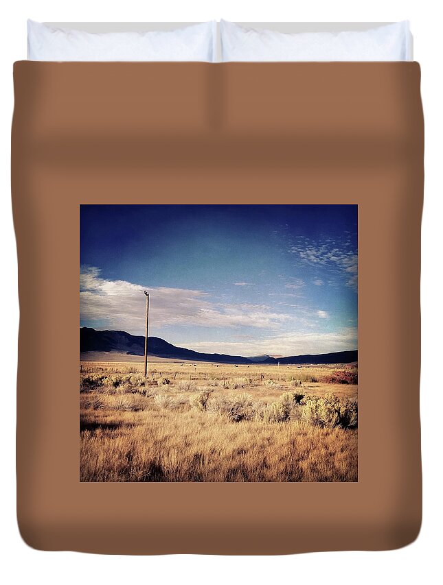 Scenics Duvet Cover featuring the photograph Empty Field With Telephone Pole And Cows by David Teter