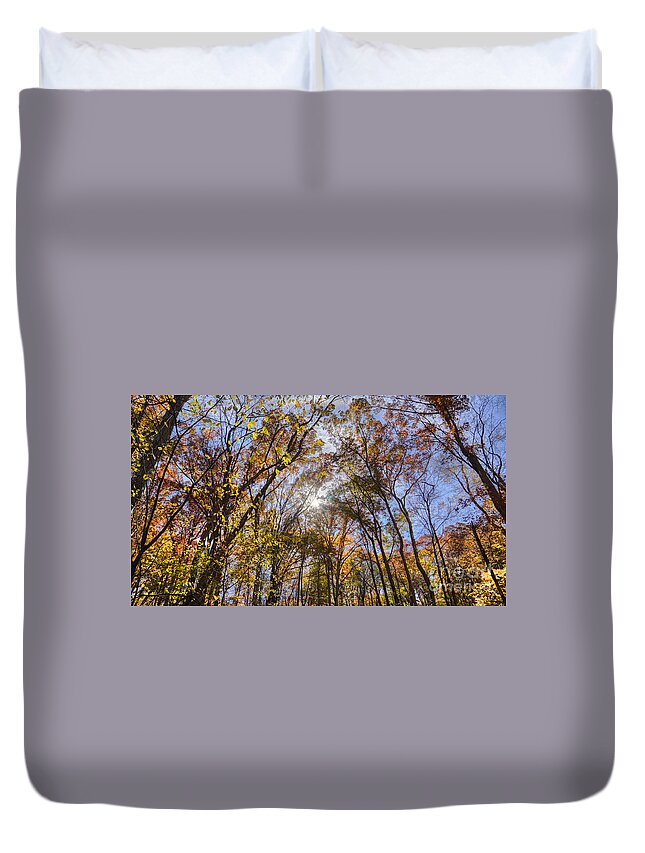Trees Duvet Cover featuring the photograph End of Summer by Jeremy Lankford