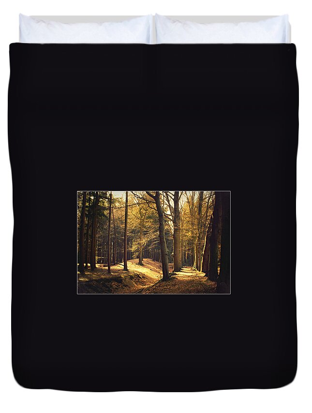 Scenics Duvet Cover featuring the photograph Enlightened Trees by Bob Van Den Berg Photography