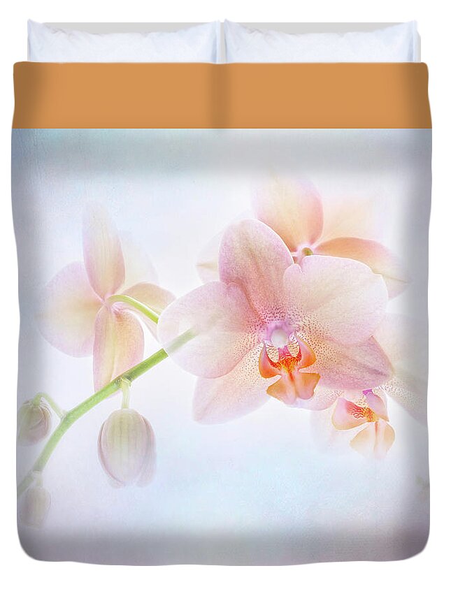 Anemone Duvet Cover featuring the photograph Enlightment. by Usha Peddamatham