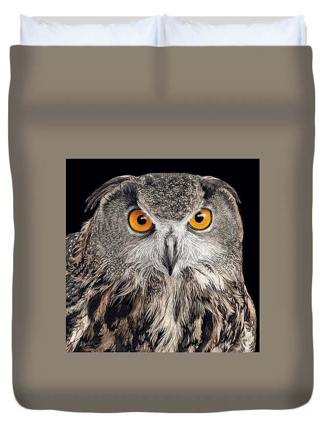 Owl Duvet Cover featuring the drawing Eurasian Eagle Owl by Ann Ranlett